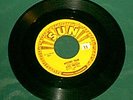 Elvis Presley,Mystery Train 7