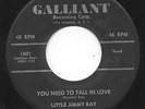 LITTLE JIMMY RAY Rare R&B Soul Popcorn 45 HEAR