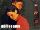 CURSIVE Domestica LP RARE OOP SADDLE CREEK SEALED NM