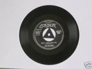 THE SKYLINERS 
