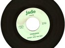 RANDY AND THE REST, 60s GARAGE 45, JADE LABEL