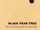 The Mountain Goats Kaki King Black Pear Tree 12