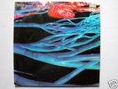 Hairy Chapter - Can't Get Through - 1972 - German 2nd P