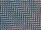 ANIMAL COLLECTIVE Merriweather Post Pavilion 2LP + MP3