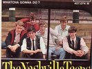 THE NASH VILLE TEENS ORIGINAL FRENCH EP SEE DESCRIPTION