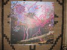 ANIMAL COLLECTIVE Here Comes the Indian LP Black Dice