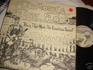 Orig 1975 blues LP HARMONICA FRANK FLOYD Barrelhouse NM
