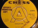 RADIANTS Hold DOO WOP NORTHERN SOUL UK 45 CHESS 68 DEMO