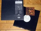 dEUS - Worst Case Scenario AUDIOPHILE LTD VINYL LP