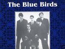 Blue Birds - Same KILLER MOODY GREEK 60S GARAGE LP