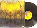 AMERICAN BLUES Do Their Thing PROMO LP