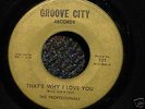 THE PROFESSIONALS Thats Why I Love You NORTHERN SOUL 45