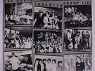 DAVID JOHANSEN: David Johansen Group Live LP (promo only live lp, sl cw)