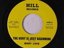 MARY LOVE: The Hurt Is Just Beginning 45 Soul