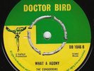 Conquerors - What A Agony - ROCK-STEADY *LISTEN*