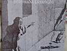 *BERMUDA TRIANGLE* RARE 1977 Dreamy-Psych-Folk LP