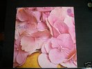 STILL LIFE 1ST LP 1971 VERTIGO 1st Press MINT RECORD