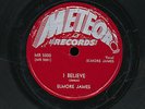 78-Blues-Meteor 5000  Elmore James