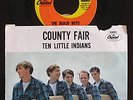 THE BEACH BOYS-Ten Little Indians PICTURE SLEEVE & 45