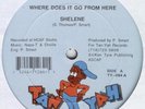 SHELENE WHERE DOES IT GO FROM HERE tempo listen