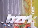 BZRK REC: Various - The Anniversary Album
