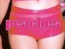 Peaches 'The Teaches of Peaches' DBL LP on Kitty Yo