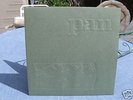 PAN - S/T LP RE 1970 heavy PSYCH Denmark 1.000 only