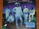 Black Crowes 12