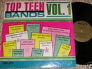 1966 MN Garage LP - Top Teen Bands #1  BUD-JET  Shrink