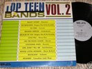 1966 MN Garage LP - Top Teen Bands #2  BUD-JET  Shrink