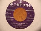  SWANS DETROIT R&B 45 FORTUNE 813 HEAR BOTH