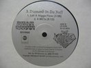 KAOTIC STYLE Diamond In Da Ruff RARE RANDOM RAP 12