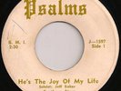 SOUTHERN STARS He's The Joy WISCONSIN GOSPEL 45 Psalms