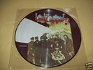 LED ZEPPELIN II - PICTURE DISC - EXELLENT CONDITION