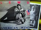 LEWD American Wino 12” LP 1982 ORIG Punk KBD w INSERT