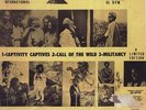 WACKIES ROOTS/DUB -JAH WITTER-HOUSE OF DREAD
