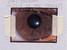 Ian Brown Music Of The Spheres F.E.A.R Northern Lights