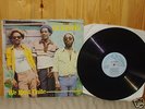 THE VICEROYS  WE MUST UNITE  1982 UK LP