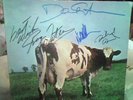 PINK FLOYD *signed* ATOM HEART MOTHER LP cover  RARE