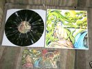 Pulling Teeth - PD/PI OOP Vinyl out of 333