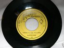 ELMORE JAMES-I BELIEVE MY TIME AINT LONG-ACE 45 508