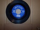 Doo Wop    DAVE COLLINS and THE SCRUBS  (Rare)