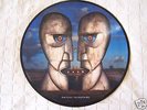 PINK FLOYD THE DIVISION BELL PICTURE DISC (MINT)