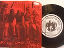 ARTICLES OF FAITH E.P. What We Want is Free WASTELAND 7