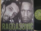 Vinyl 33 Tours LP 