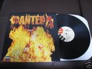 Pantera