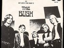 HEAR IT - Garage 45 The BUSH Hiback PS and record M-