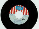 THE CHERRY SLUSH I Cannot Stop You VG(+) 45 RPM