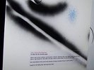 MOUNTAIN GOATS come to the sunset tree LP h-painted #'d