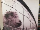 Pearl Jam - Vs LP Original US Epic Gatefold